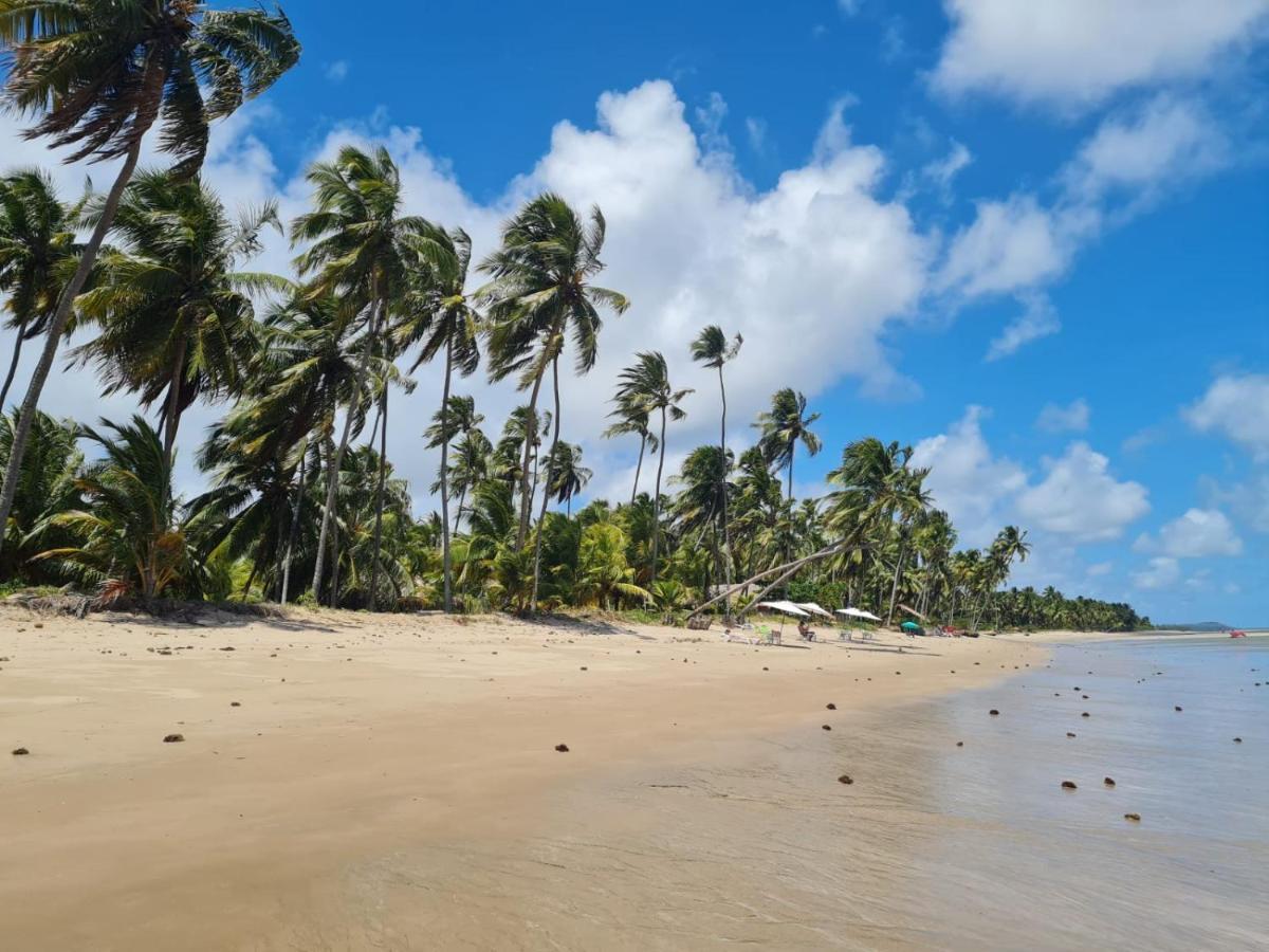 Vista Do Patacho, A 100M Da Praia Do Patacho Pôrto de Pedras Eksteriør bilde